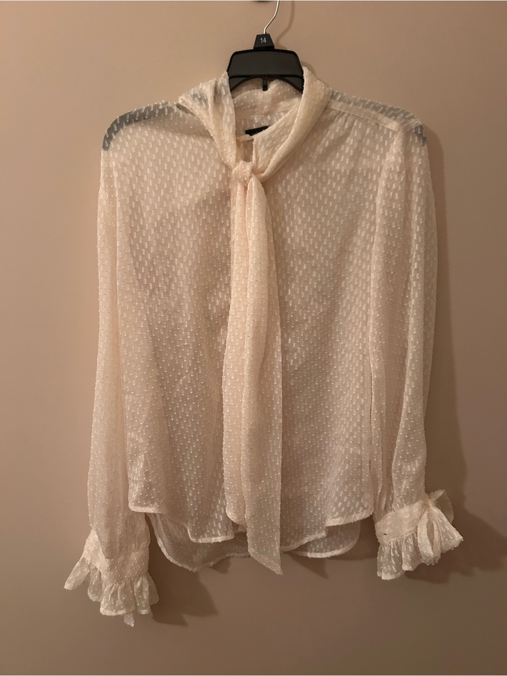 Banana Republic Sheer Ivory Tie-Neck Swiss Dot Blouse